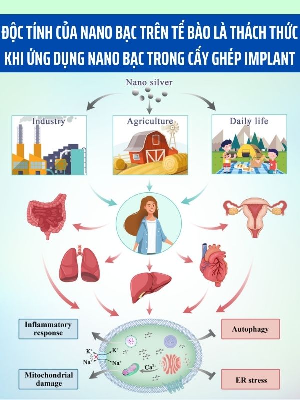 tien-bo-trong-nha-khoa-ung-dung-nano-bac-trong-cay-ghep-implant-5