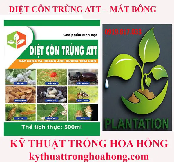 DIỆT CÔN TRÙNG ATT