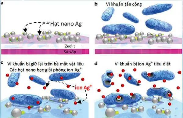 Mẹ có biết ý nghĩa đặc biệt của công nghệ diệt khuẩn Nano bạc trong bỉm JoeCo? - Ảnh 1.