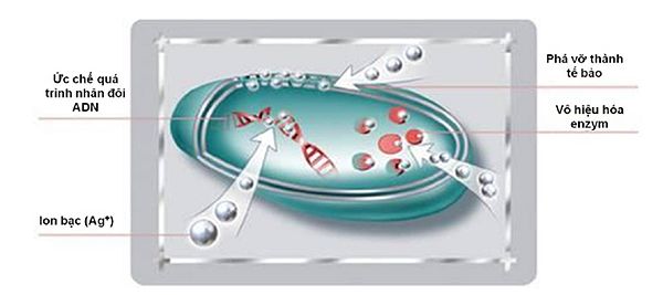 Nano Bạc Trong Nông Nghiệp 1