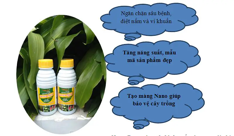 Nano Bạc Trong Nông Nghiệp 2