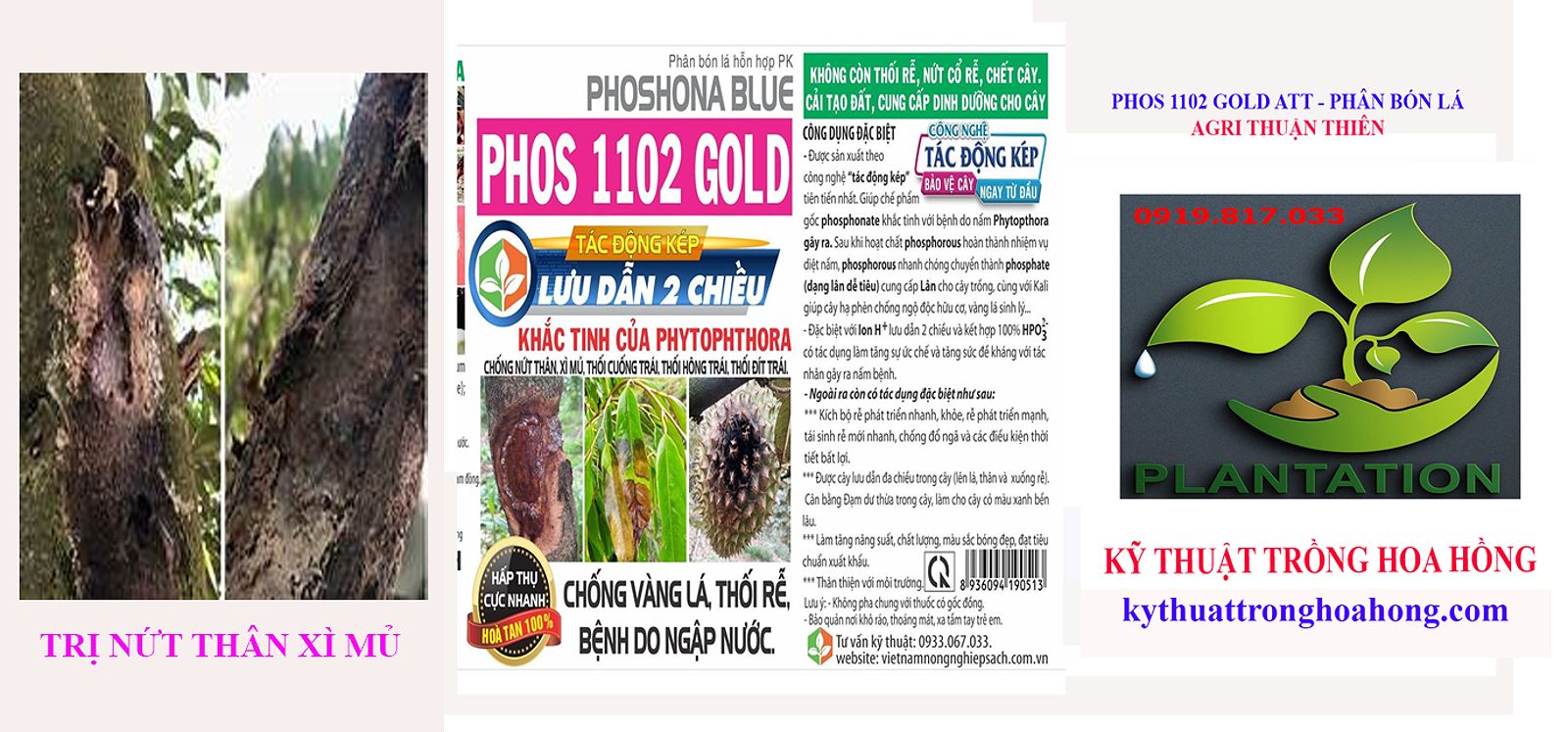 PHOS 1102 GOLD